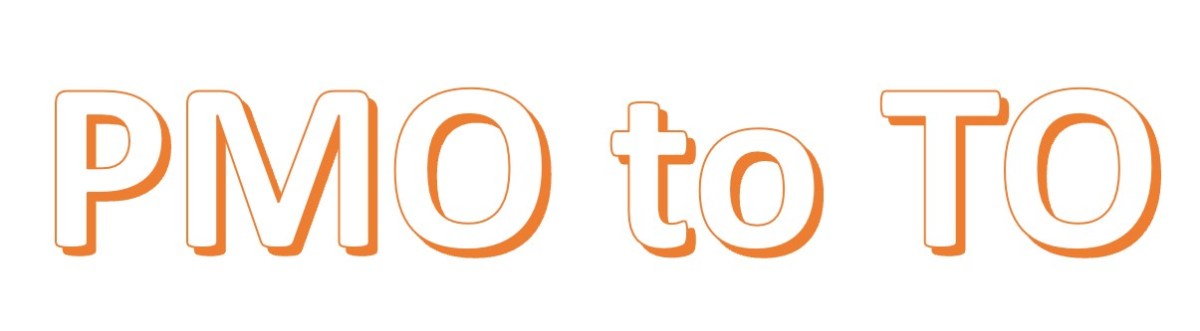 Build your Program Management Office as a Transformation&nbsp;Office